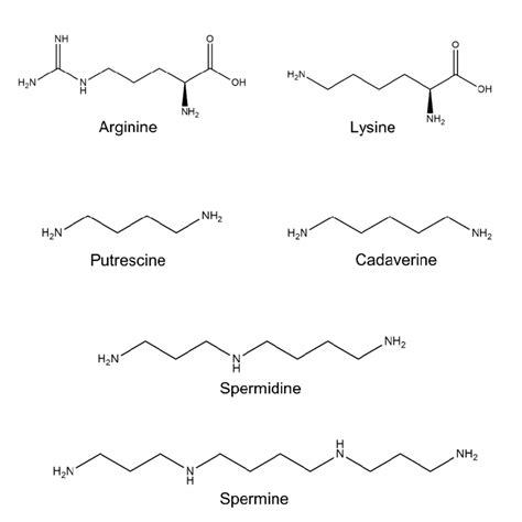 Polyamine Chemical Structure Shown Are The Chemical Structure Of The