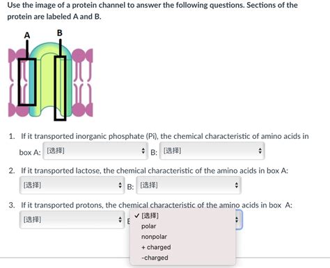 Solved Use the image of a protein channel to answer the | Chegg.com