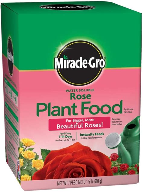 What Are The Best Fertilizers For Knockout Roses In 2023