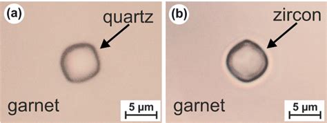 Representative Photomicrographs Using Transmitted Light Of The