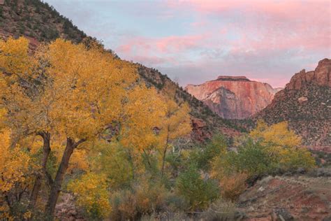 Zion National Park Alan Majchrowicz Photography