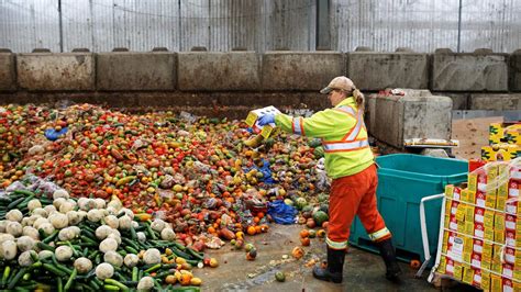 Lebensmittelverschwendung Auch Firmen Sollen Lebensmittel Retten