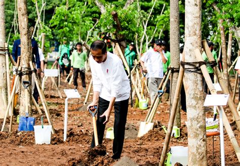 Atasi Perubahan Iklim Dan Polusi Udara Presiden Jokowi Ajak Masyarakat