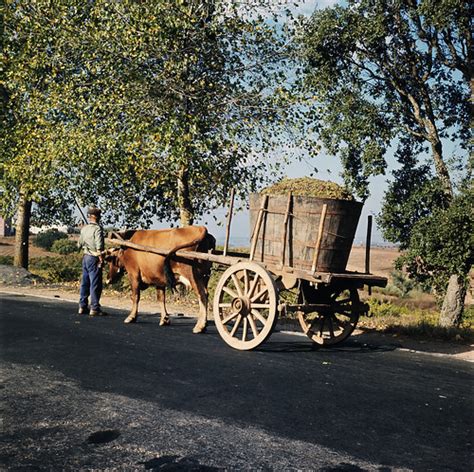 Cena Rural Portugal Cena Rural Carro A Fot Grafo Abreu Flickr