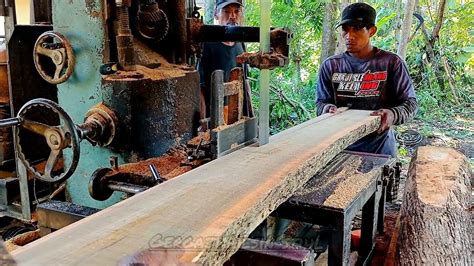 Oprator Handalmerajang Kayu Jati Bahan Perumahan Gergaji Kayu