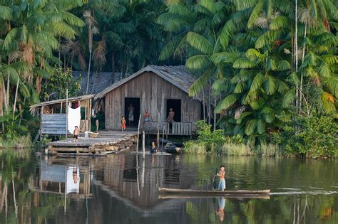 Amazonia Zielone P Uca Ziemi Biuro Podr Y Rek Travel W Chicago