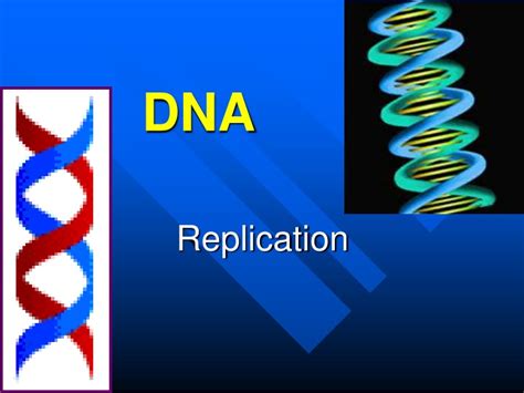 Ppt Dna Powerpoint Presentation Free Download Id9556215