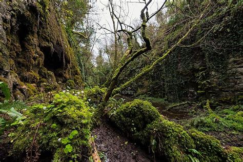 The Fairy Glen In County Sligo Ireland Highlights