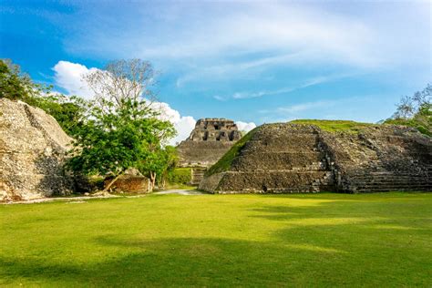 Regions Of Belize Red Savannah