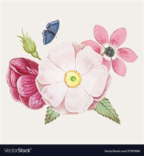 Wild rose in vintage style Royalty Free Vector Image