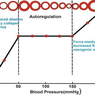 Cerebral Autoregulation And Vascular Response To Changes In Bp