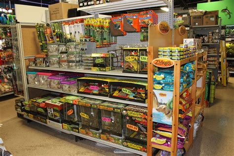Photos Of The Pet Shop The Pet Shop