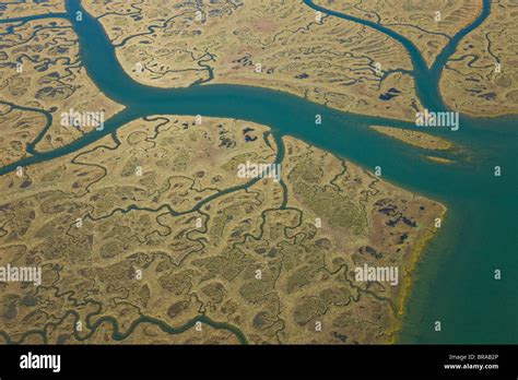 aerial view  river tributaries saltmarsh  coast odiel costa de