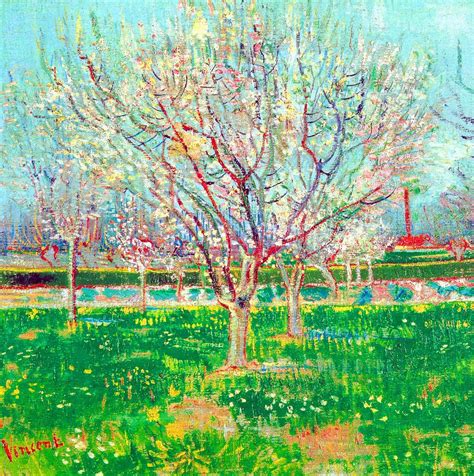 Vincent Van Gogh The White Orchard 1888 Oil On Van Gogh Museum