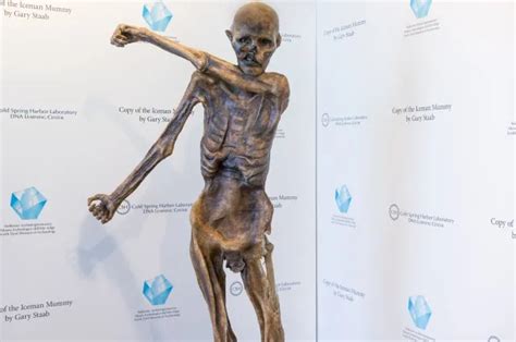 Ancient Ink Iceman Otzi Has The World S Oldest Tattoos 44 OFF