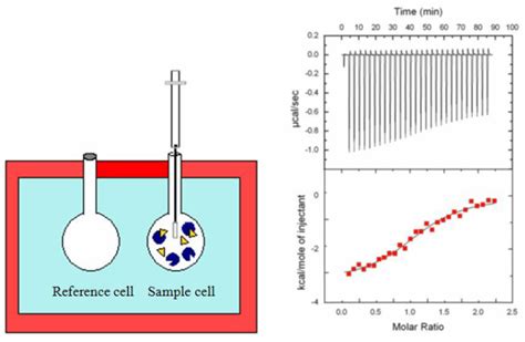 Isothermal Titration Calorimetry Profacgen