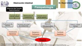 Obstruccion Intestinal Clasificacion Pptx