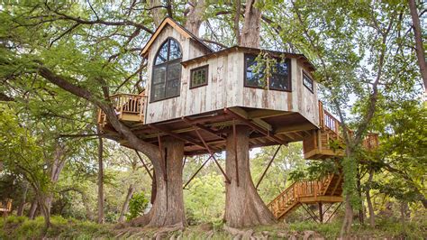 Tree House Telegraph