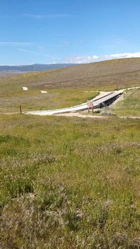 Best Hikes And Trails In Antelope Valley California Poppy Reserve State