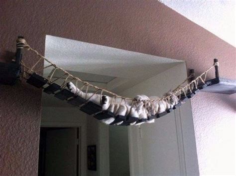 Гамак для кота | Сумасшедшие кошки, Мебель для кошек, Кошачий гамак
