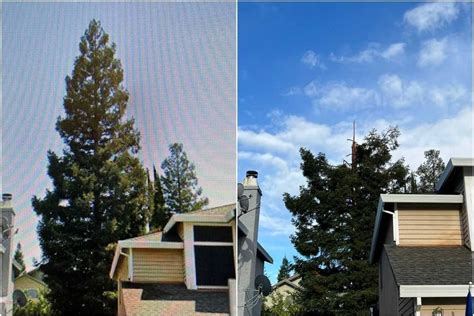 Redwood Tree ‘explodes From Lightning Strike In Latest California Storm