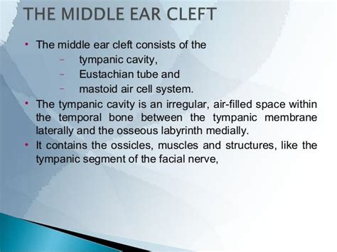 ANATOMY OF MIDDLE EAR CLEFT