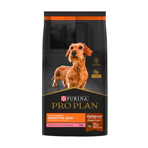 Conoce Todo Del Dachshund Perro Salchicha Purina Argentina