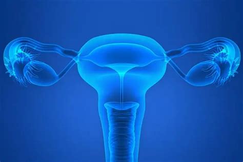 Ovary dysgerminoma: causes, symptoms, diagnosis and treatment ...