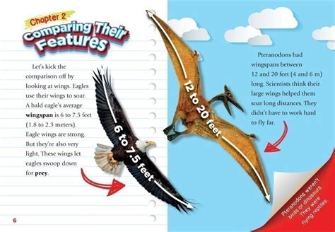 Pteranodon Size Comparison