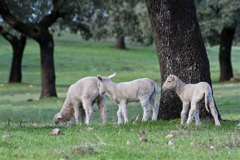 Junta De Andaluc A La Junta Abona Entre Hoy Y El Viernes Millones