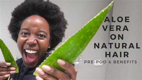 Aloe Vera On 4c 4b Natural Hair Youtube