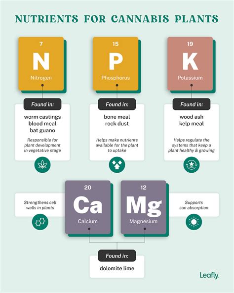 Best nutrients & fertilizers for indoor and outdoor cannabis | Leafly