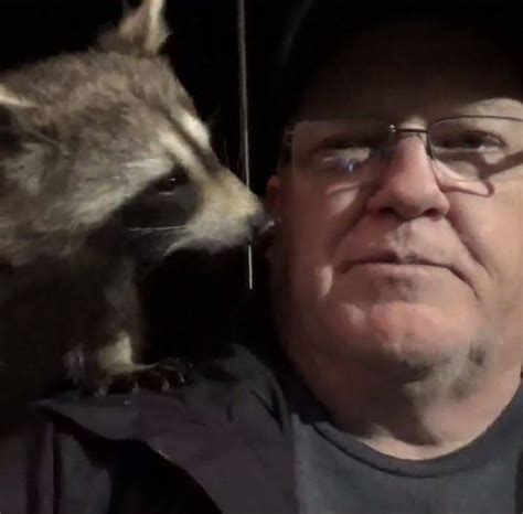 James Blackwood - Raccoon Whisperer | Wikitubia | Fandom