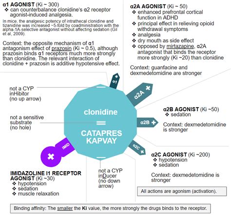 Mirtazapine Clonidine Interaction