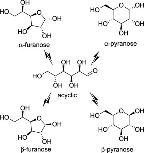 Pyranose Vs Furanose