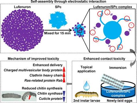 Nanodelivery System Alters An Insect Growth Regulators Action Mode