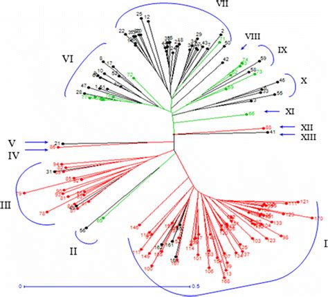 Neis Genetic Distance Based Dendrogram Generated Using Ssr Data That