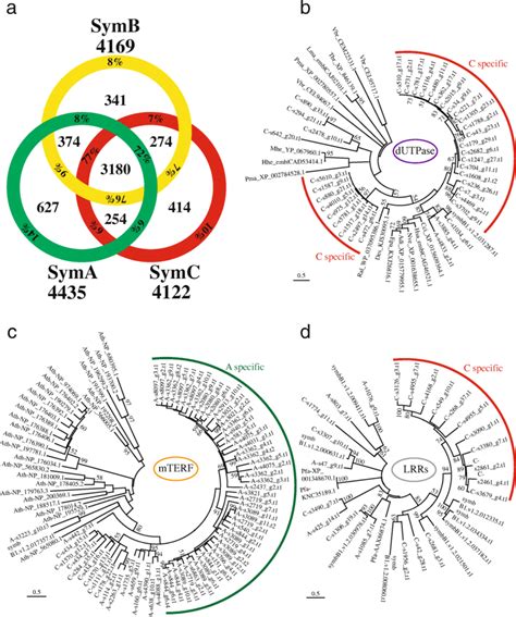 Comparisons And Expansions Of Gene Families In Symbiodinium Lineages