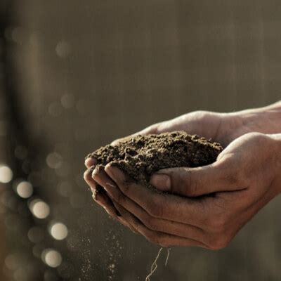 availing  agri finance loan agriwise