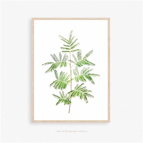 Fern Plant Watercolor Print Green Fern Printable Plant Leaf - Etsy