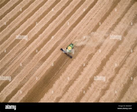 Soybean Harvest John Deere Combine Harvesting Soybeans