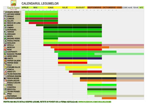 Legume si fructe de sezon | Blog cu legume