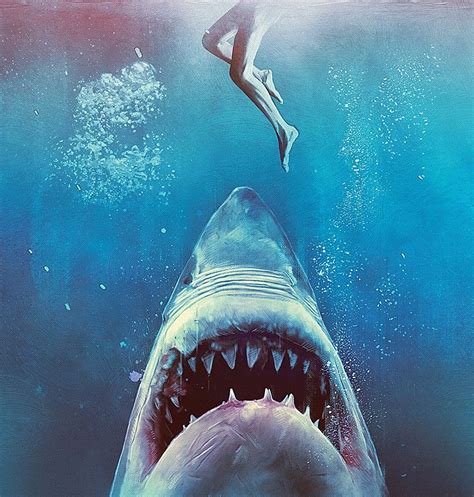 Pin By Andrewhickam80 Wiley07 On Jaws Shark Pictures Shark Art