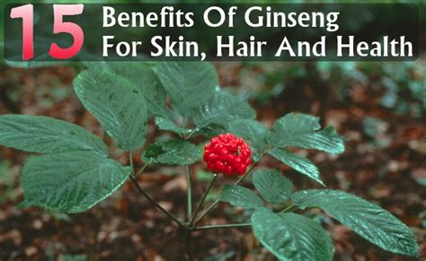 15 Amazing Benefits Of Ginseng For Skin Hair And Health Search