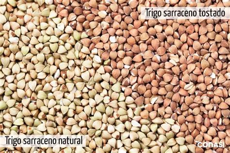 Trigo Sarraceno Qu Es Formas De Consumirlo Como Cocinarlo Y Recetas