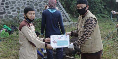 Qurban Penuh Berkah Di Tengah Pandemi Sekolah Islam Terpadu Kaifa