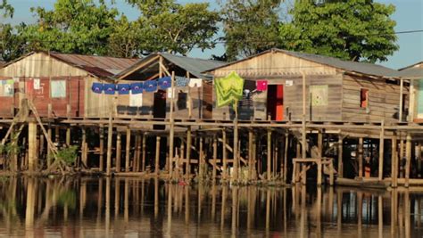 Riverside Houses Amazon River Board Brazil Stock Footage Video (100% ...