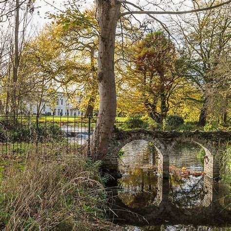 Morden Hall Park Autumn Scenes South London Wild Life Surrey Paths