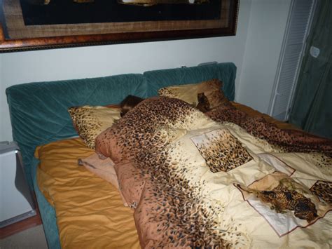 Homemade Gallery 3426 Nude Photos7047 12114 Porn Pic