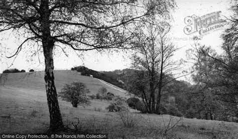 Photo Of Box Hill The Slopes C1955 Francis Frith